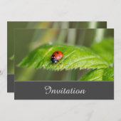 とびきりの招待状 ラディッシュ付き 招待状 (正面/裏面)