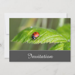 とびきりの招待状 ラディッシュ付き 招待状