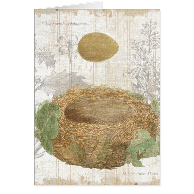 とび色の卵が付いている鳥の巣 (正面)