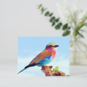 とまられたカラフルなアフリカの鳥 シーズンポストカード (スタンド正面)