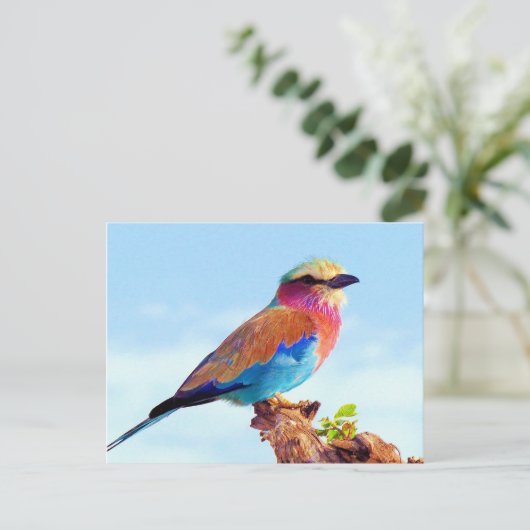 とまられたカラフルなアフリカの鳥 シーズンポストカード (スタンド正面)