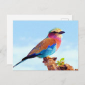 とまられたカラフルなアフリカの鳥 シーズンポストカード (正面/裏面)