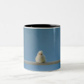 とまり木に坐っている単独ベビーペット鶏 ツートーンマグカップ (中央)