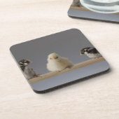 とまり木の7羽のベビーペット鶏 コースター (左側)