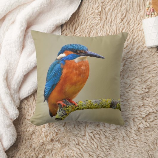 とまるカワセミ クッション (ブランケット)
