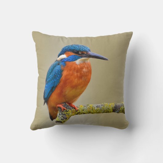 とまるカワセミ クッション (裏面)