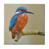 とまるカワセミ タイル (正面)