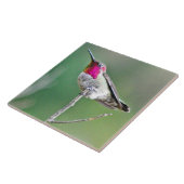 とまるハチドリ タイル (側面)