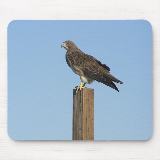 とまる猛禽 マウスパッド (正面)