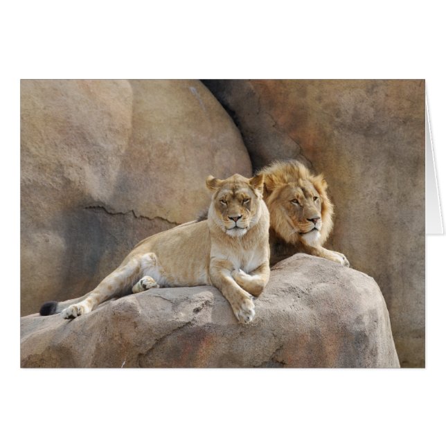 ともに (正面横)