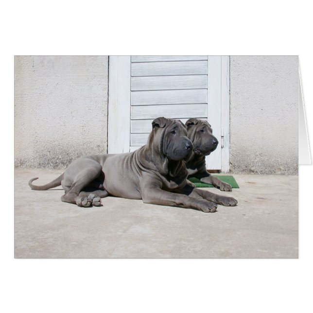 ともに… (正面横)