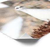 とらえどころのないパルミガン フォトプリント            (角)