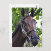 とらえどころのない品質 ポストカード (正面/裏面)