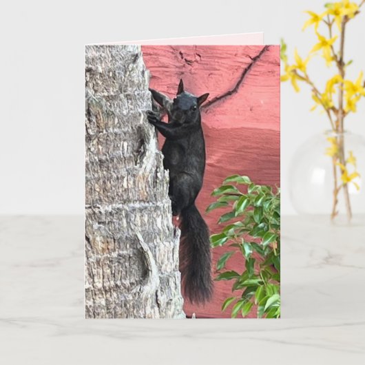 とらえどころのない黒いリスの折り畳んだグリーティングカード カード (黄色い花)