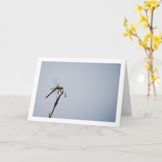 とんぼの杖 カード (黄色い花)