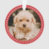 とドモダンッよくはしゃぐトペットドッグ子犬の前足写真 オーナメント (正面)