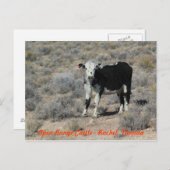 とハイウェーの牛ネバダの郵便はがき ポストカード (正面/裏面)