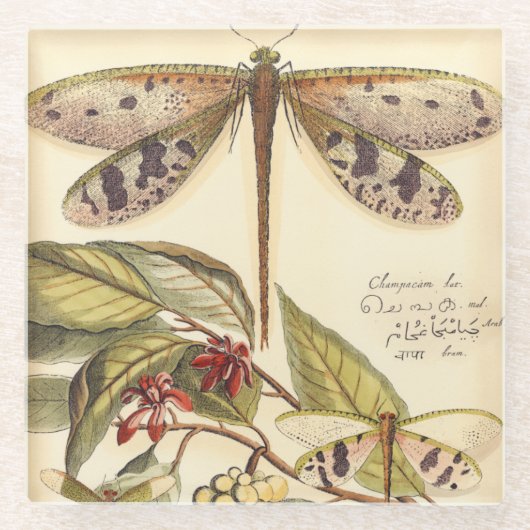 と実葉果のトンボ ガラスコースター (正面)