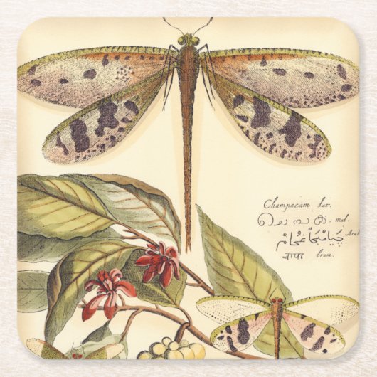 と実葉果のトンボ スクエアペーパーコースター (正面)