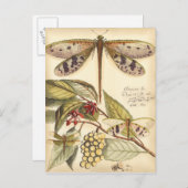 と実葉果のトンボ ポストカード (正面/裏面)