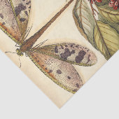 と実葉果のトンボ 薄葉紙 (詳細)