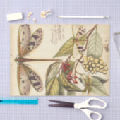 と実葉果のトンボ 薄葉紙 (クラフト)