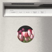 と赤と白ピンクのチューリップ マグネット (インサイチュ (食洗機))