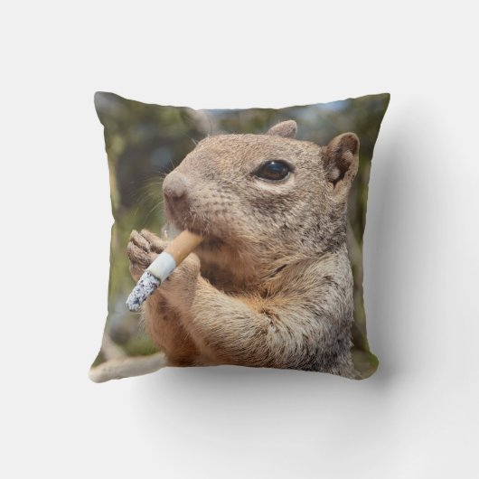 と風変わりたばこおもしろい喫煙用リス枕 クッション (裏面)