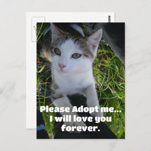 どうか私を採用して…永遠にあなたを愛し続ける ポストカード (正面/裏面)