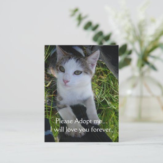 どうか私を採用して…永遠にあなたを愛し続ける ポストカード (スタンド正面)