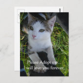 どうか私を採用して…永遠にあなたを愛し続ける ポストカード (正面/裏面)