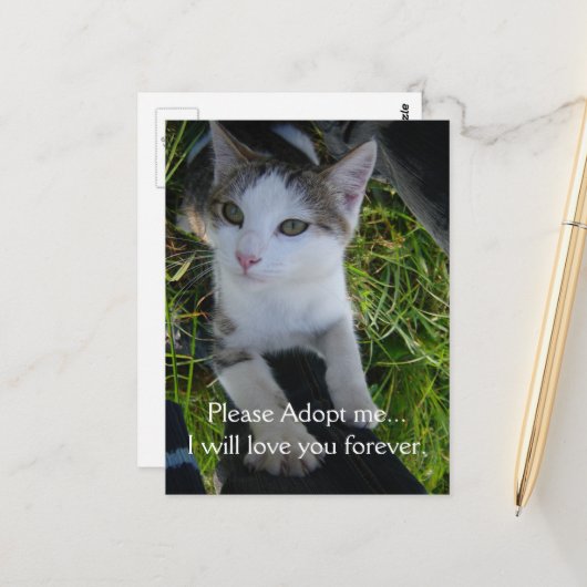 どうか私を採用して…永遠にあなたを愛し続ける ポストカード (正面/裏面インサイチュ)