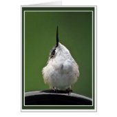 どうしたの？ (正面)