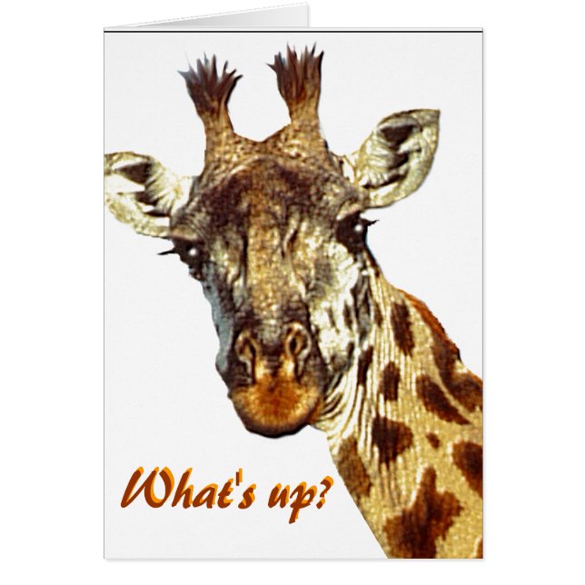 「どうしたの？」 (正面)