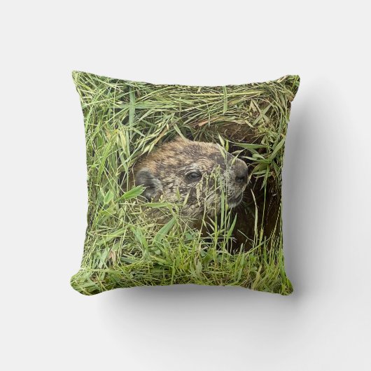 どうしたの？クッション クッション (正面)