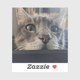 どうしたの、ネコ？3"ビニールステッカー シール