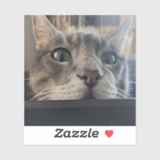 どうしたの、ネコ？3"ビニールステッカー シール (シート)