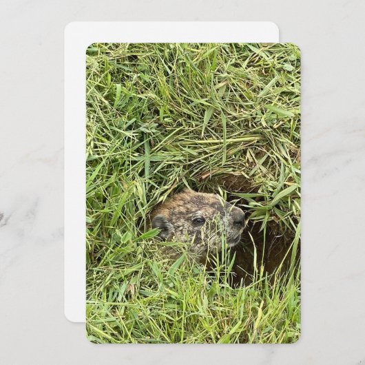 どうしたの？フラットシーズンカード シーズンカード (正面/裏面)