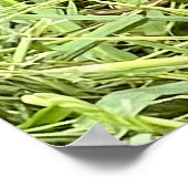 どうしたの？ ポスター (角)