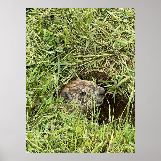 どうしたの？ ポスター (正面)