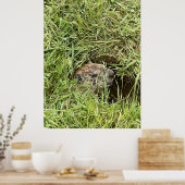 どうしたの？ ポスター (キッチン)