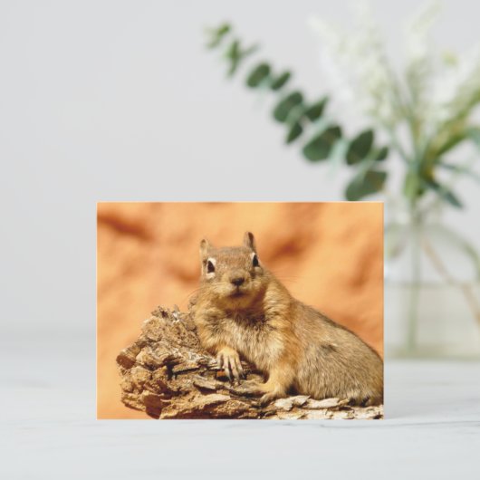 どうしたの? ポストカード (スタンド正面)