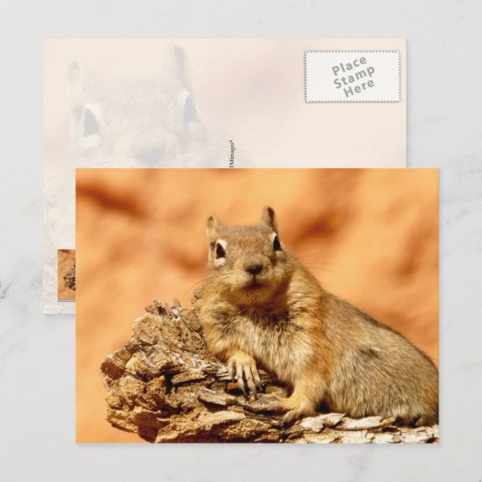 どうしたの？ ポストカード (正面/裏面)