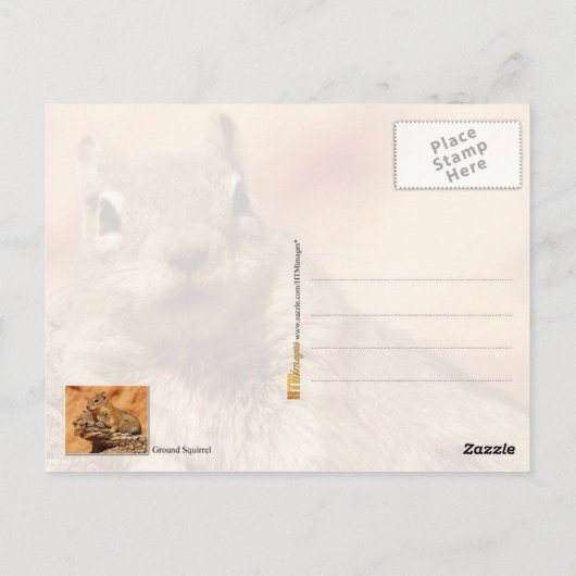 どうしたの? ポストカード (裏面)