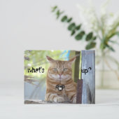 どうしたの? ポストカード (スタンド正面)