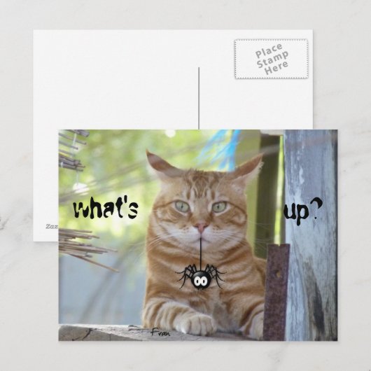 どうしたの? ポストカード (正面/裏面)