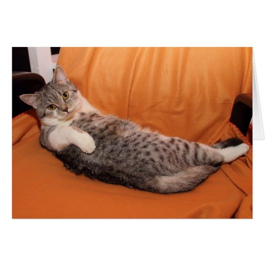 どうしたの？夕食は？ (正面横)