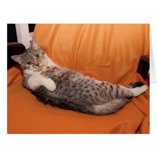 どうしたの？夕食は？ (正面横)