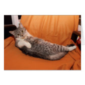 どうしたの？夕食は？ (正面横)