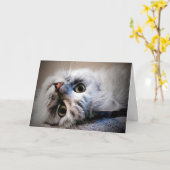 どうしたの？考えのカード カード (黄色い花)